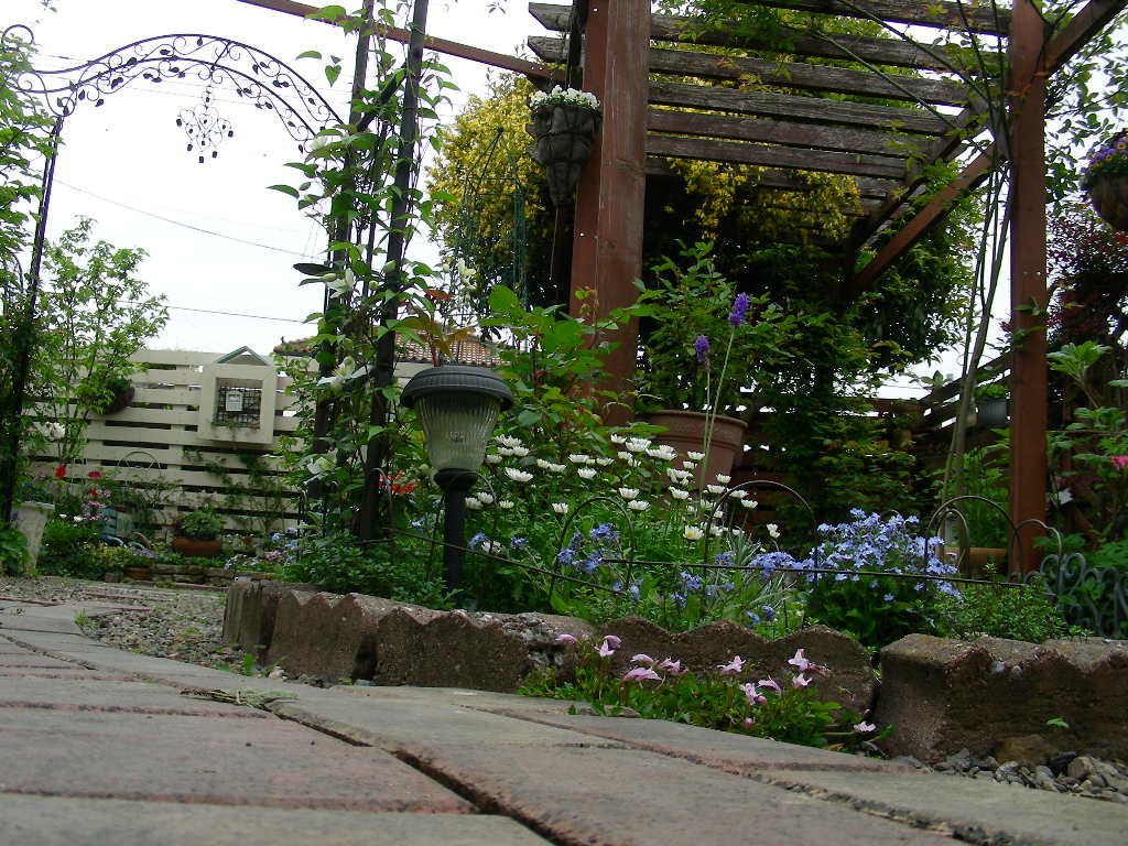 b0096584_857230.jpg