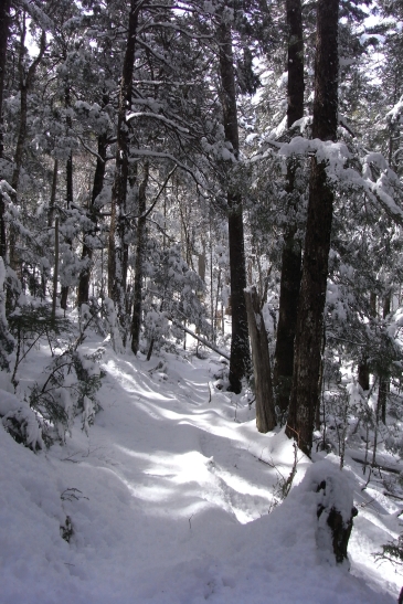 春雪の十文字峠越えから甲武信ヶ岳へ　その2_f0194599_175374.jpg