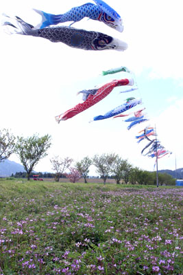 d0090101_195544.jpg