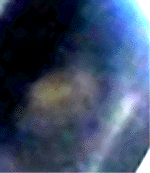 e0103408_14464881.gif