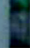 e0103408_14595168.gif