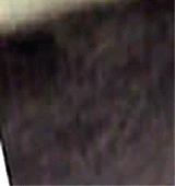 e0103408_152531.gif