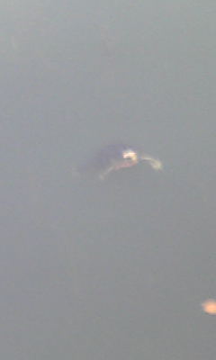 c0180209_18391843.jpg