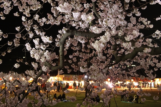 大河原・夜桜のライトアップ（2010年4月21日・夜）_c0200810_23183831.jpg