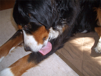 c0143711_21363763.gif