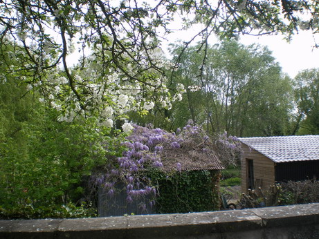 c0124619_526404.jpg
