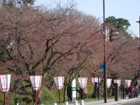 b0147224_21551790.jpg