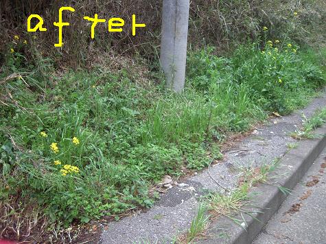第3回 お掃除大作戦 の巻_e0164724_14574842.jpg