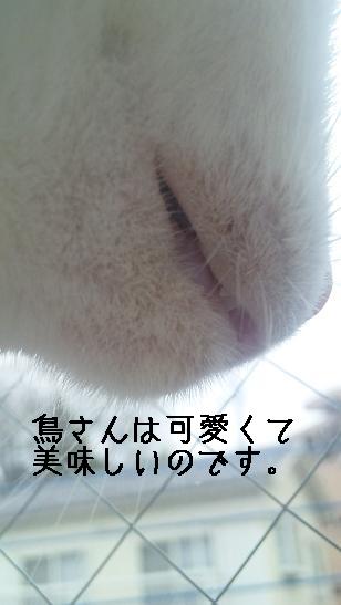 a0165526_21592371.jpg