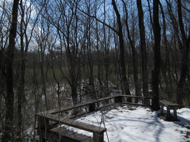 a0054228_8452081.jpg