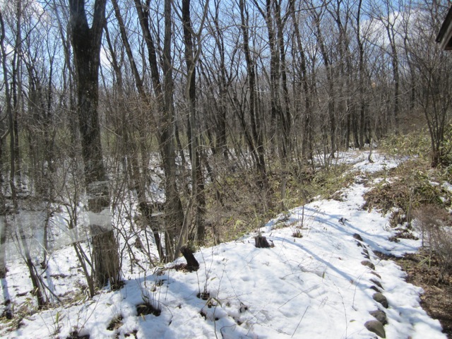 a0054228_8555591.jpg