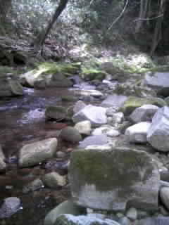 d0009828_1364016.jpg
