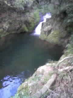 d0009828_1364020.jpg