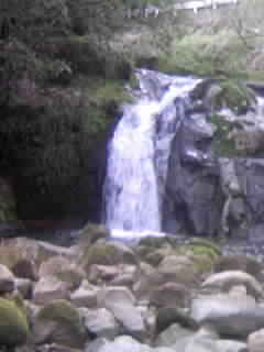 d0009828_1364029.jpg