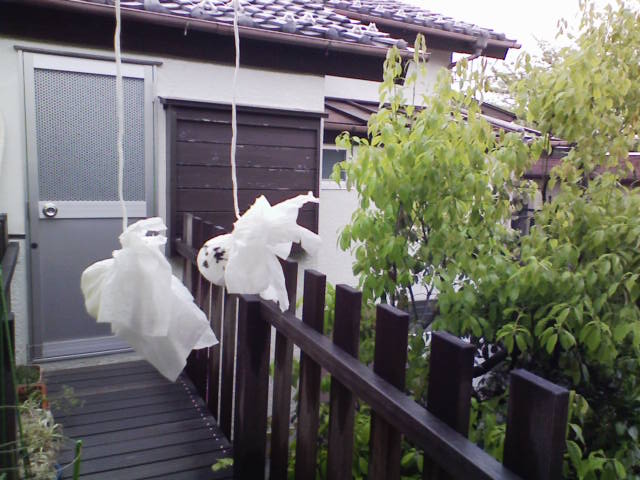 e0089438_35503.jpg