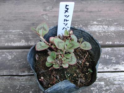 f0186040_17334361.jpg