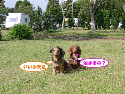 f0186040_18114562.jpg