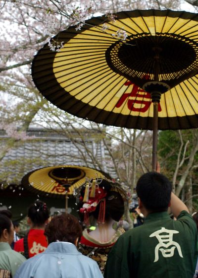 第58回　吉野太夫花供養-1　    （京都　常照寺）_a0031741_7462525.jpg