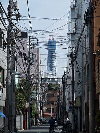 浅草・ヨシカミ（洋食）へ_c0185542_2238387.jpg