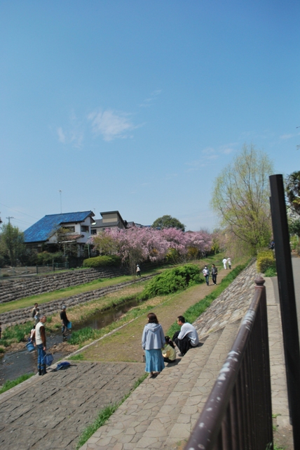 f0068145_8193577.jpg