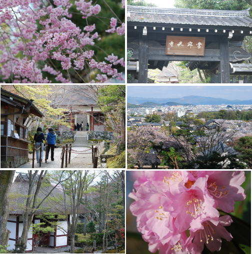 京都でお花見♪_d0088348_0521988.jpg