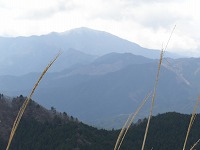 d0048350_21115358.jpg