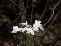 d0048350_21125283.jpg