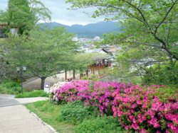 c0043055_13384579.jpg