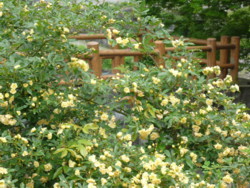c0043055_13443524.jpg