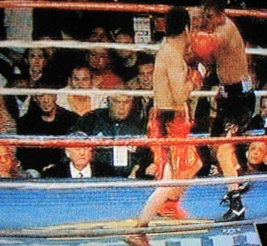 Stallone by the ring_c0157558_11114193.jpg