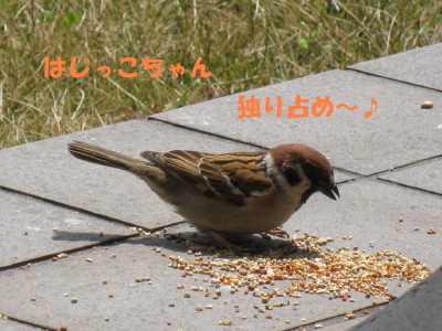 b0158061_22135.jpg