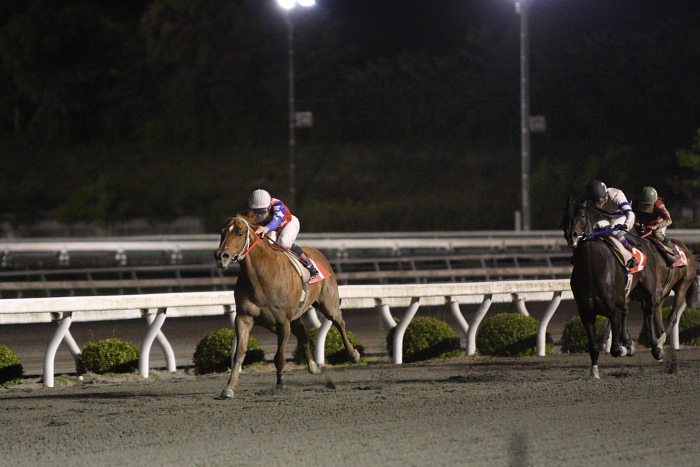 2010年4月24日（土） 高知競馬 9R 土佐赤岡どろめ祭特別 B-1 選抜馬_a0077663_22213224.jpg