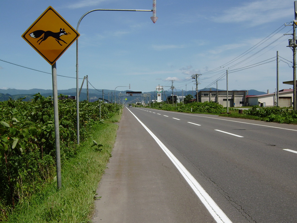 ブログの書き方_a0164965_19585798.jpg