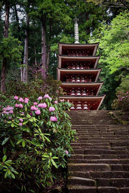 室生寺・石楠花_c0153969_21211947.jpg