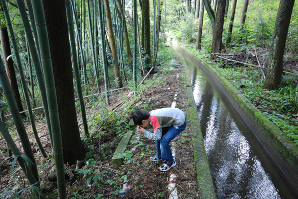 山中温泉こおろぎばし_d0095673_1941774.jpg