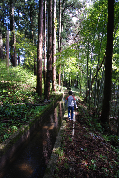 山中温泉こおろぎばし_d0095673_1945896.jpg