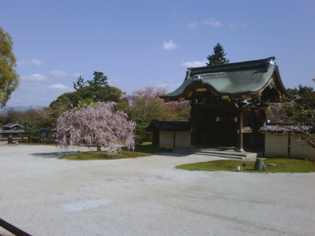 b0034574_22324187.jpg