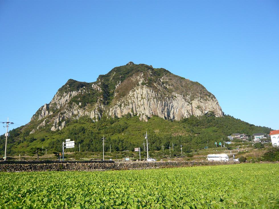 f0178278_15152210.jpg
