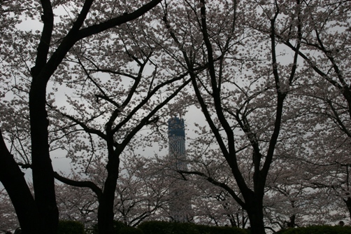 c0109090_1871537.jpg