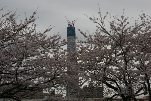 c0109090_1872258.jpg