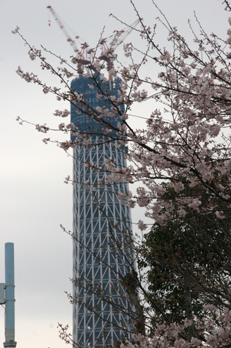 c0109090_187796.jpg