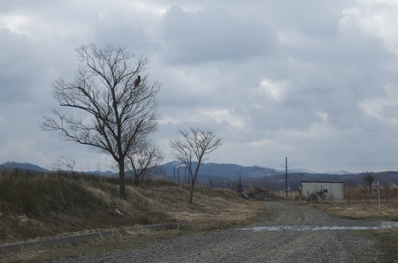 f0159390_16291876.jpg