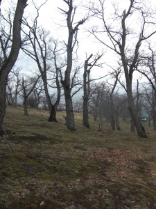 c0125899_1352162.jpg