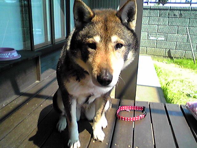 f0079202_13344643.jpg