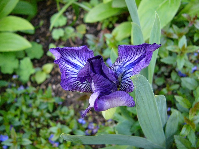 a0123003_21203887.jpg