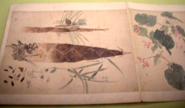 平常展 2010.4.24　＠東京国立博物館本館_b0044404_17244370.jpg