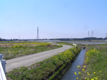 b0129008_21103518.jpg