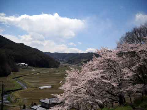b0000209_21141731.jpg