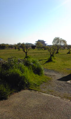 c0180209_11413564.jpg