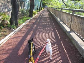 毎日の日課は?_d0091909_1085036.jpg